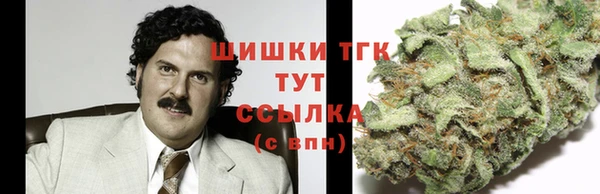 ГАЛЛЮЦИНОГЕННЫЕ ГРИБЫ Верея