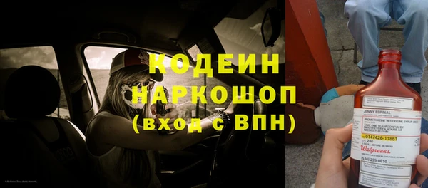 ГАЛЛЮЦИНОГЕННЫЕ ГРИБЫ Верея