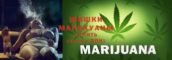 ГАЛЛЮЦИНОГЕННЫЕ ГРИБЫ Верея