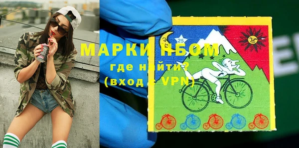ГАЛЛЮЦИНОГЕННЫЕ ГРИБЫ Верея