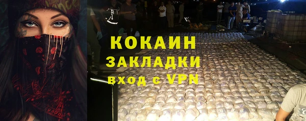 ГАЛЛЮЦИНОГЕННЫЕ ГРИБЫ Верея