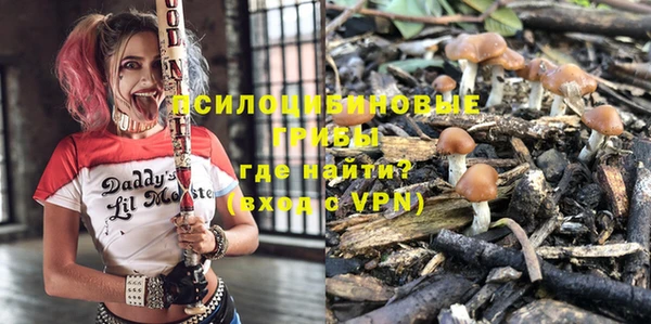 ГАЛЛЮЦИНОГЕННЫЕ ГРИБЫ Верея