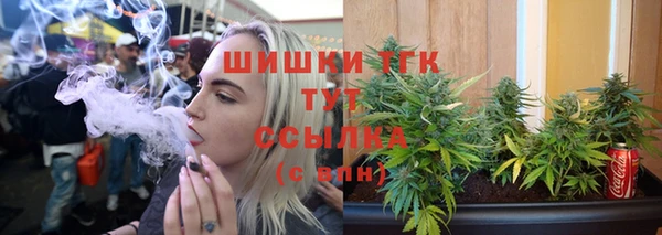 ГАЛЛЮЦИНОГЕННЫЕ ГРИБЫ Верея