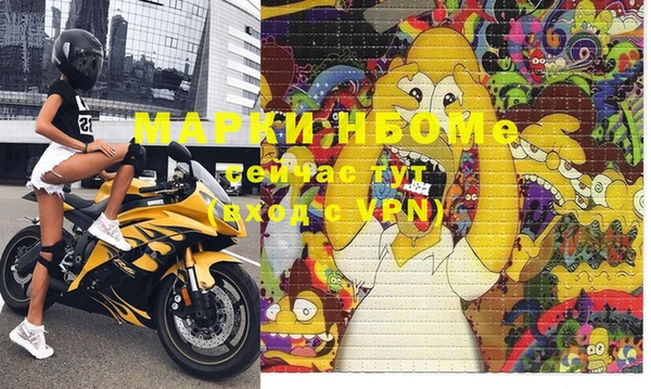 ГАЛЛЮЦИНОГЕННЫЕ ГРИБЫ Верея