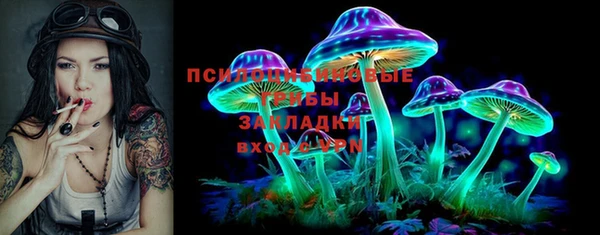 индика Верхнеуральск