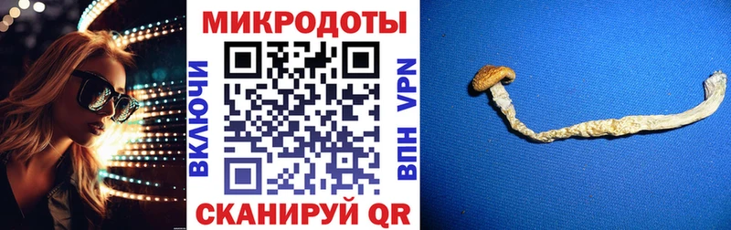 KRAKEN ссылка  Петровск  Галлюциногенные грибы Psilocybe 